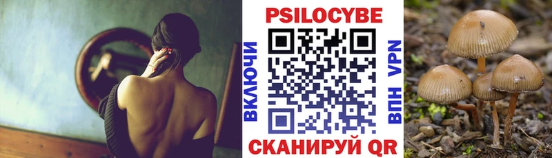 Купить Удачный Галлюциногенные грибы мицелий